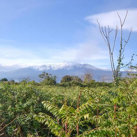 2 Bedroom Stunning In Mascali